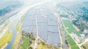 从灰姑娘到“羊肚菌女神”的蝶变