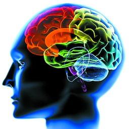 脑梗塞发生的前兆，你了解吗?