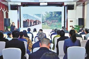 现代农业专场推介会|为端牢中国饭碗献“粮”策