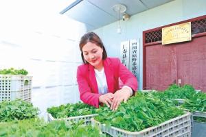 秦嫡：探索“粮食+”模式 让荒地变沃野