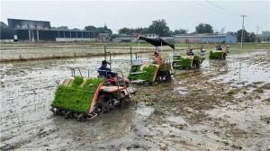 青神：科技赋能绘“丰”景