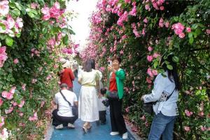 “五一”假期 洪雅旅游市场“热力值”拉满