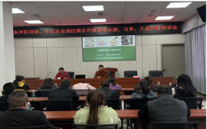 内江市东兴区科协组织开展科技赋能春耕农技培训活动