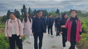 东兴区科协开展驻村帮扶工作