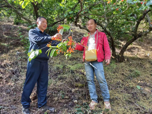 当好产业探路者 领跑乡村振兴路