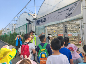 顺庆区：乡村文旅融科普 乐享自然涨知识