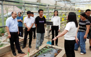 科技赋能蔬菜产业 校地携手助农增收