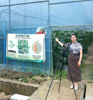 邻水县：智慧新玩法 让农家好物走出田间地头