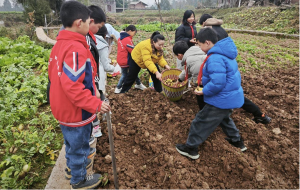 南江县傅家小学开展科普劳动实践活动