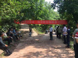 南江县组织农技人员进村送技术