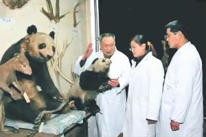 “大熊猫之父”胡锦矗