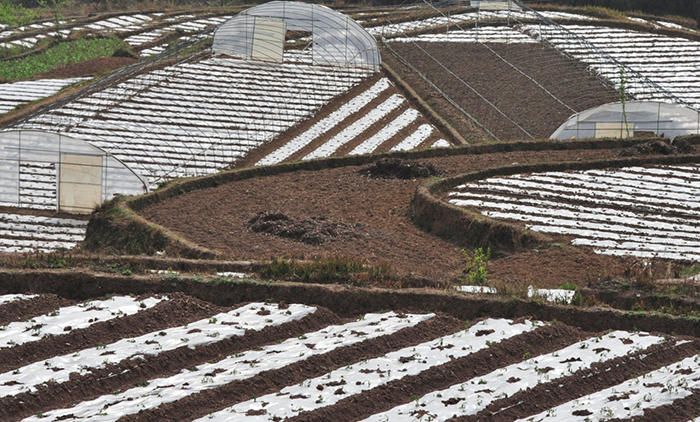 图片1-1.png 图片1-1.png