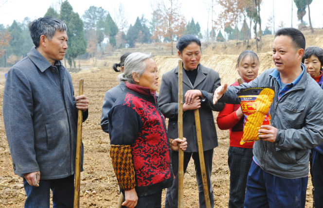 图片2.png 图片2.png