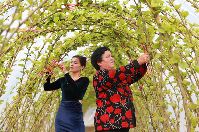 调结构补短板1.jpg 调结构补短板1.jpg