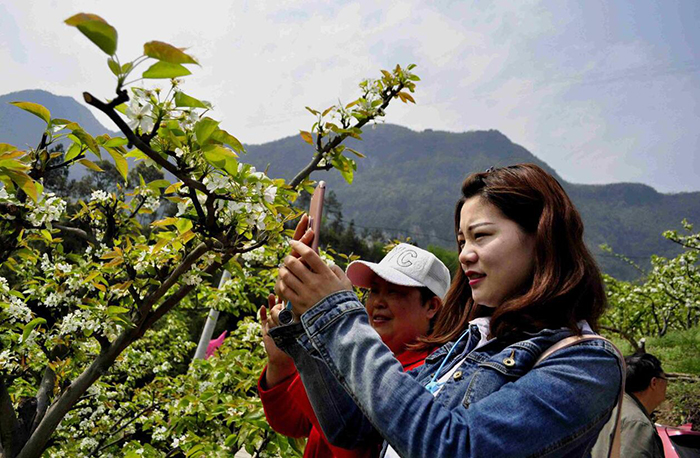 乡村旅游引客来1.jpg
