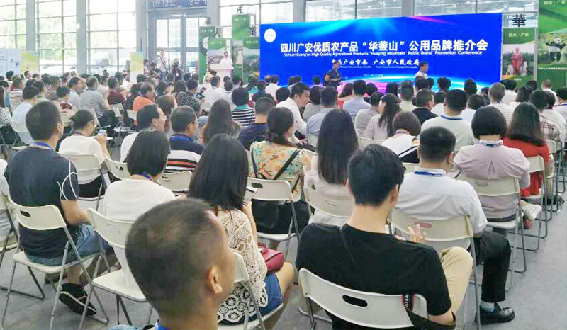 图为深圳推荐会现场2.jpg