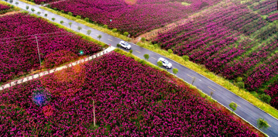 图片16.png 图片16.png