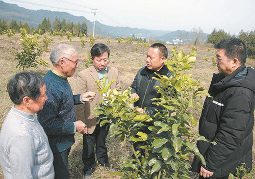 “扶志”+“扶能” 村民奔康有信心