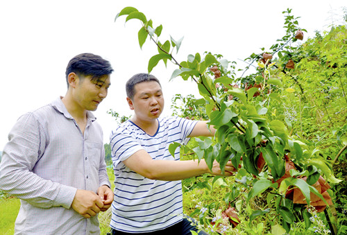 20180716B2_副本.jpg 20180716B2_副本.jpg