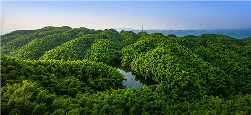 20180720B4.jpg