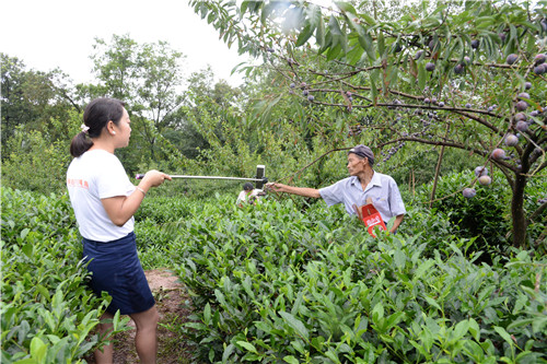 20180810B11_副本.jpg 20180810B11_副本.jpg