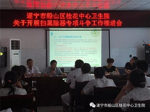 桂花镇卫生院召开“扫黑除恶”专项斗争工作推进会
