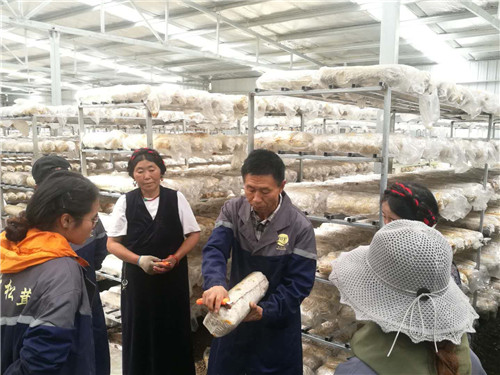 20181012B1_副本.jpg 20181012B1_副本.jpg