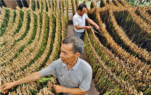 DSC_5968_副本.jpg DSC_5968_副本.jpg