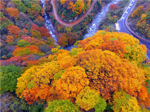 20181023B2_副本.jpg 20181023B2_副本.jpg