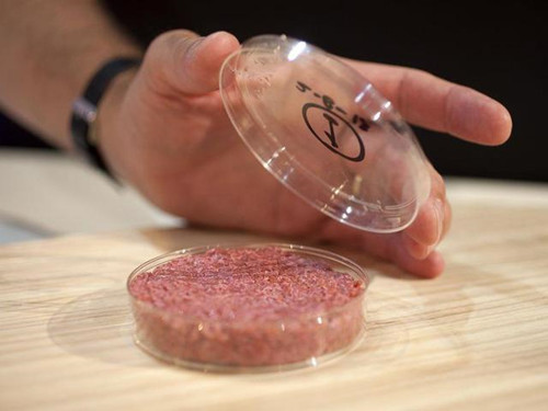 “人造肉”即将端上餐桌