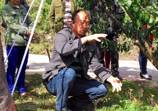 20181207B8_副本.jpg 20181207B8_副本.jpg