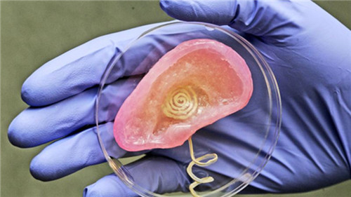 德国用纳米纤维素3D打印人造耳