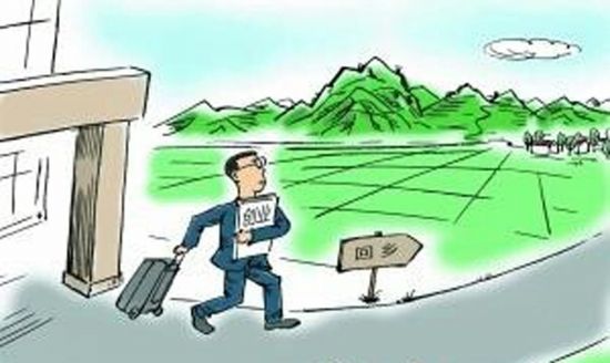 赵海伶：把家乡的土特产销往全国