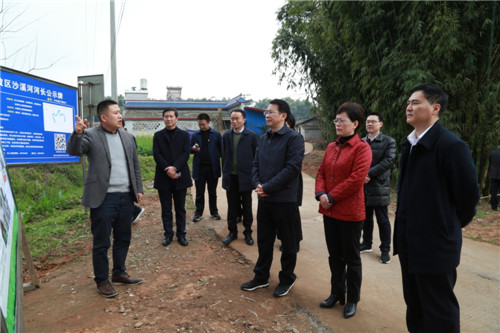 眉山市委常委张力一行调研沙溪河东坡段河长制工作情况