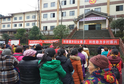 活动现场.jpg