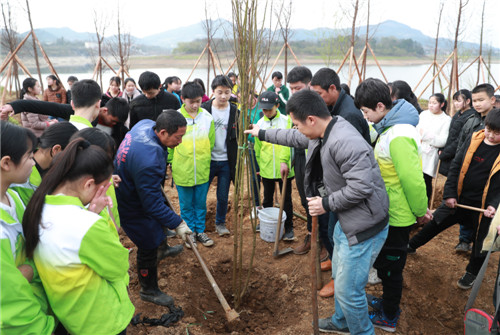 我为天池植新绿