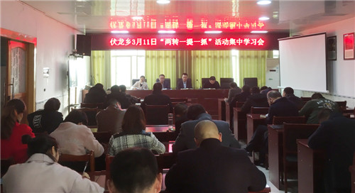 伏龙乡扎实推进“两转一提一抓”活动