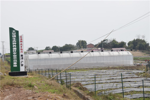 大安镇生态种养循环农业示范基地.jpg