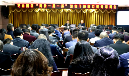 广安市枣山园区举办“两转一提一抓”活动干部能力提升培训会
