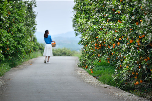乡村旅游.jpg