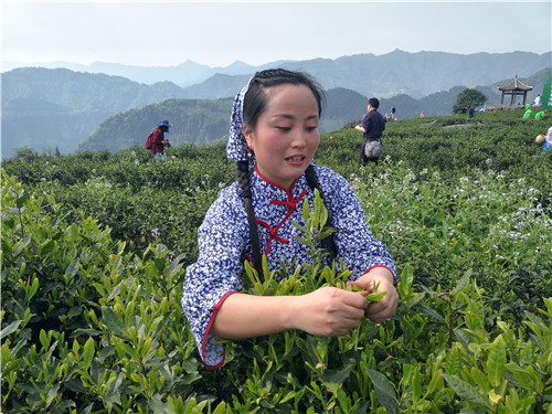 IMG20190409102752_副本.jpg