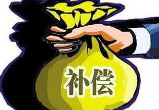 “来之不易”的青苗补偿费