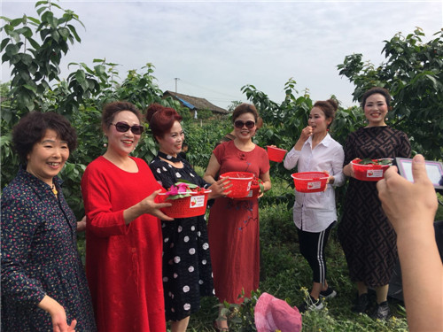白马镇万坡村举行首届樱桃采摘节