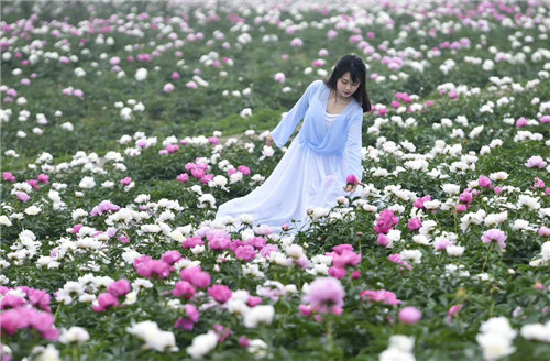 看美景 品美食 生态旅游催热彭山“花经济”