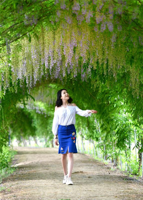 紫藤花长廊.jpg