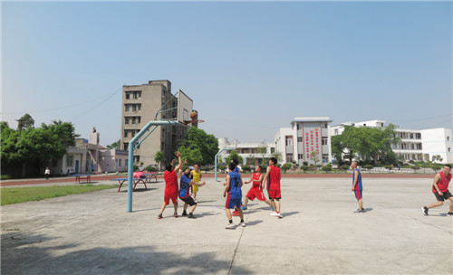 篮球友谊赛.jpg