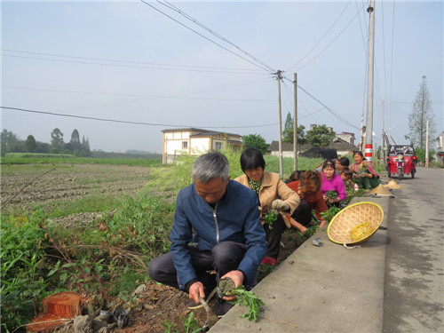 把村书记形象树在群众心中