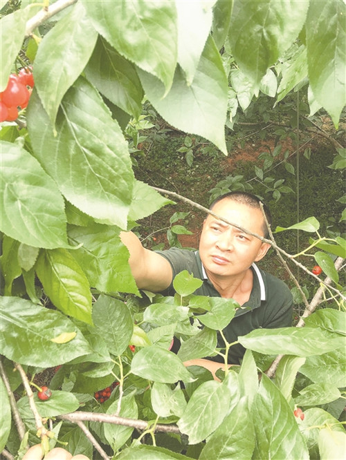梁勇.jpg