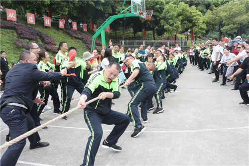 运动会上展风采