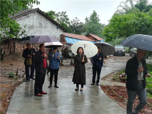 毛金花了解公墓前期规划.jpg